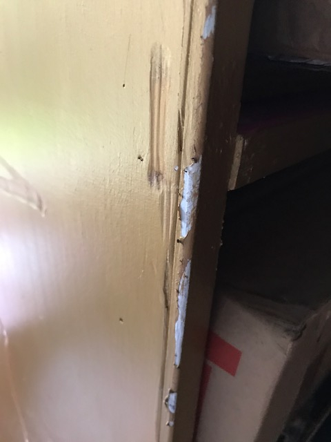 Photo by Andrea Wolter of Carter Moving and Delivery - Large