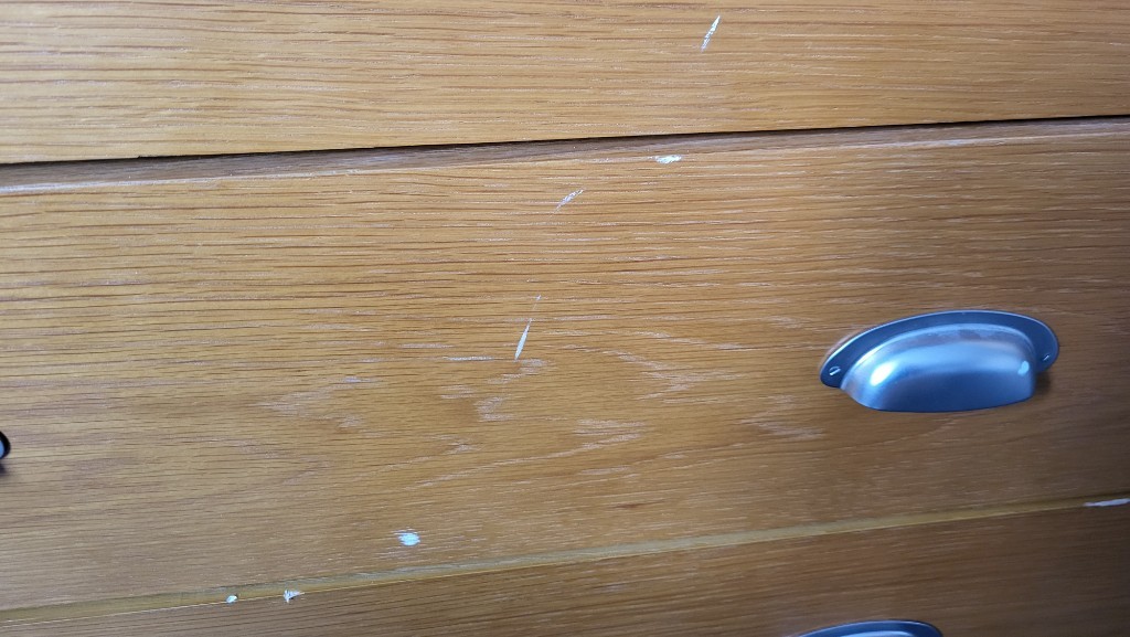 Second photo by Sandra Marshall of Britannia Bardies Storage & Moving - Large