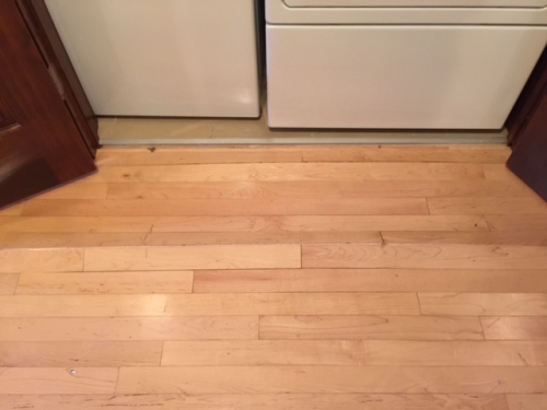 Photo by Gordon Watson of Busy Bee Movers - Large