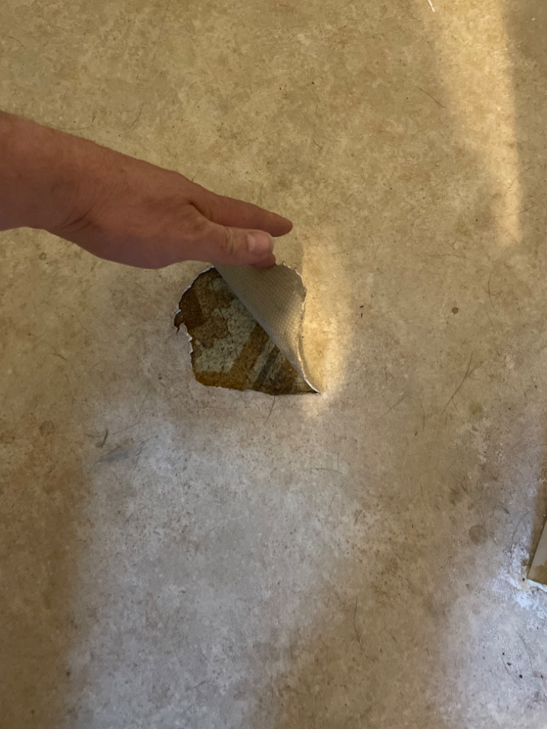 Second photo by Dan Steckman of Trinity Relocation Group - Large