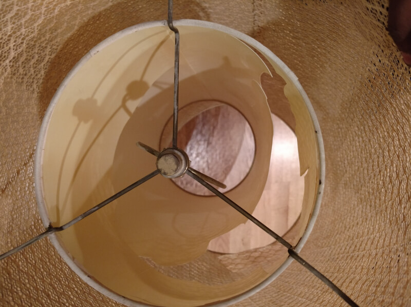 Second photo by Kathryn Smith of Presidential Moving Services - Large