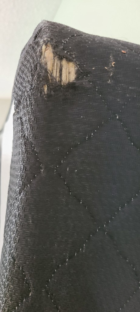 Second photo by Sarah Abousenna of Atlantic Van Lines - Large