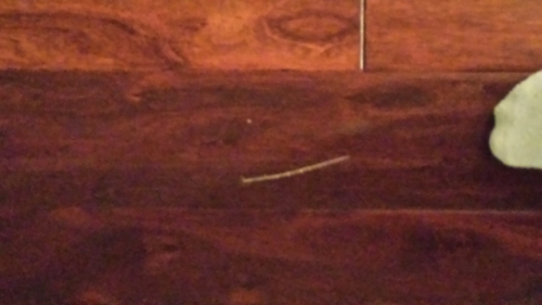 Photo by Frank  of American Knights Moving - Large