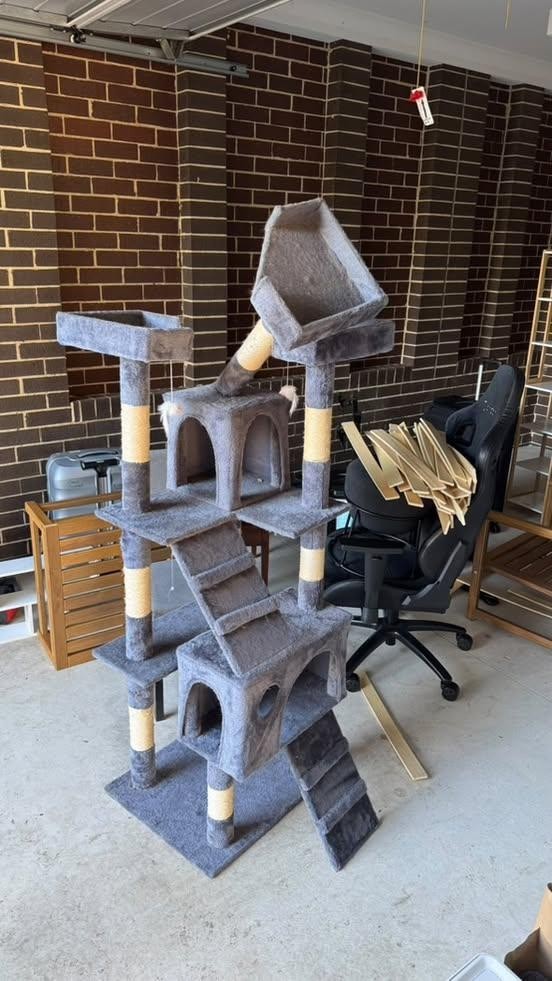 Photo by Ruby Swnn of Ace Movers Pty Ltd - Large