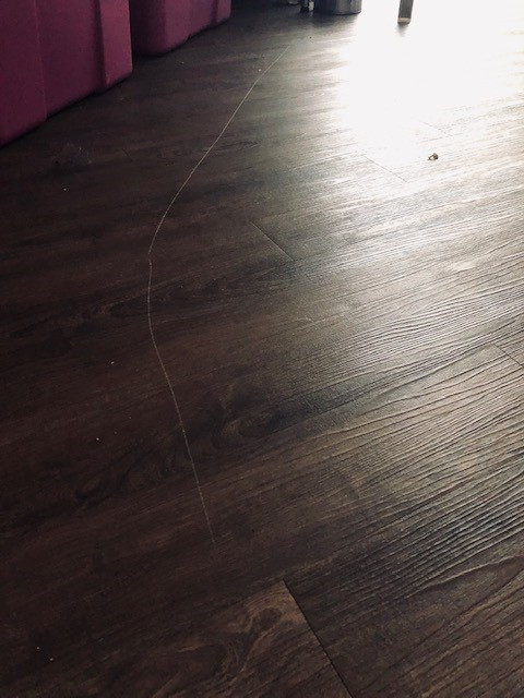 Photo by Michiyo Itaya of LA Moving Inc - Large