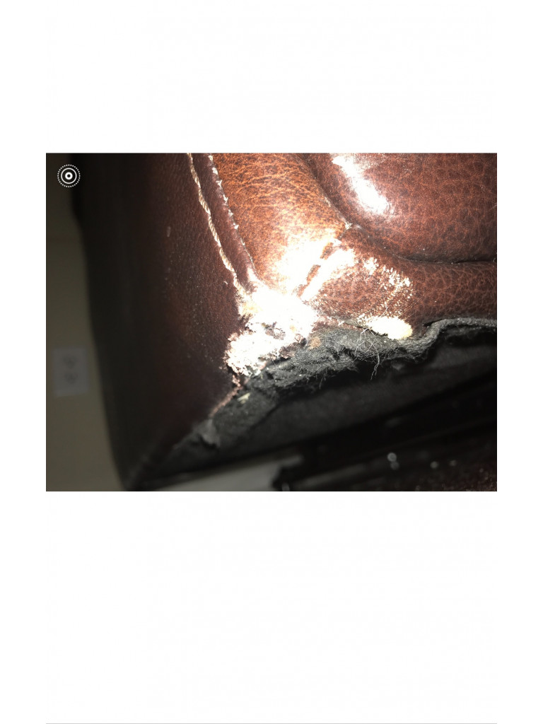 Photo by Alma Garner of Houston's Best Movers - Large