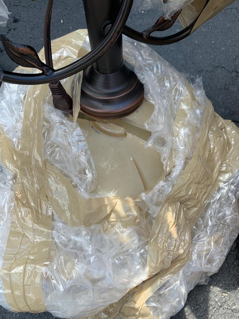 Second photo by Smitha Nathan of Moving Nation - Large