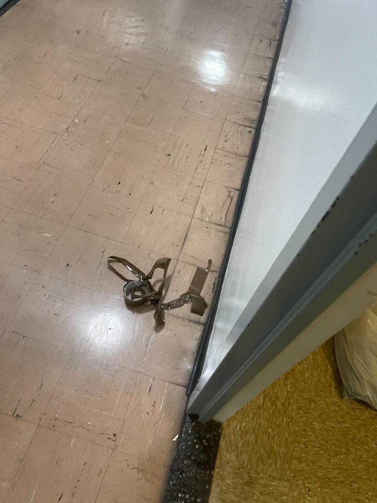 Second photo by Leigh Klein of Allegiance Moving and Storage LLC - Large