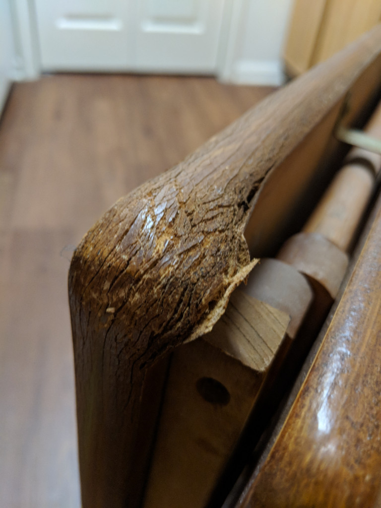 Photo by Michelle Glorsky of My Chicago Moving - Large