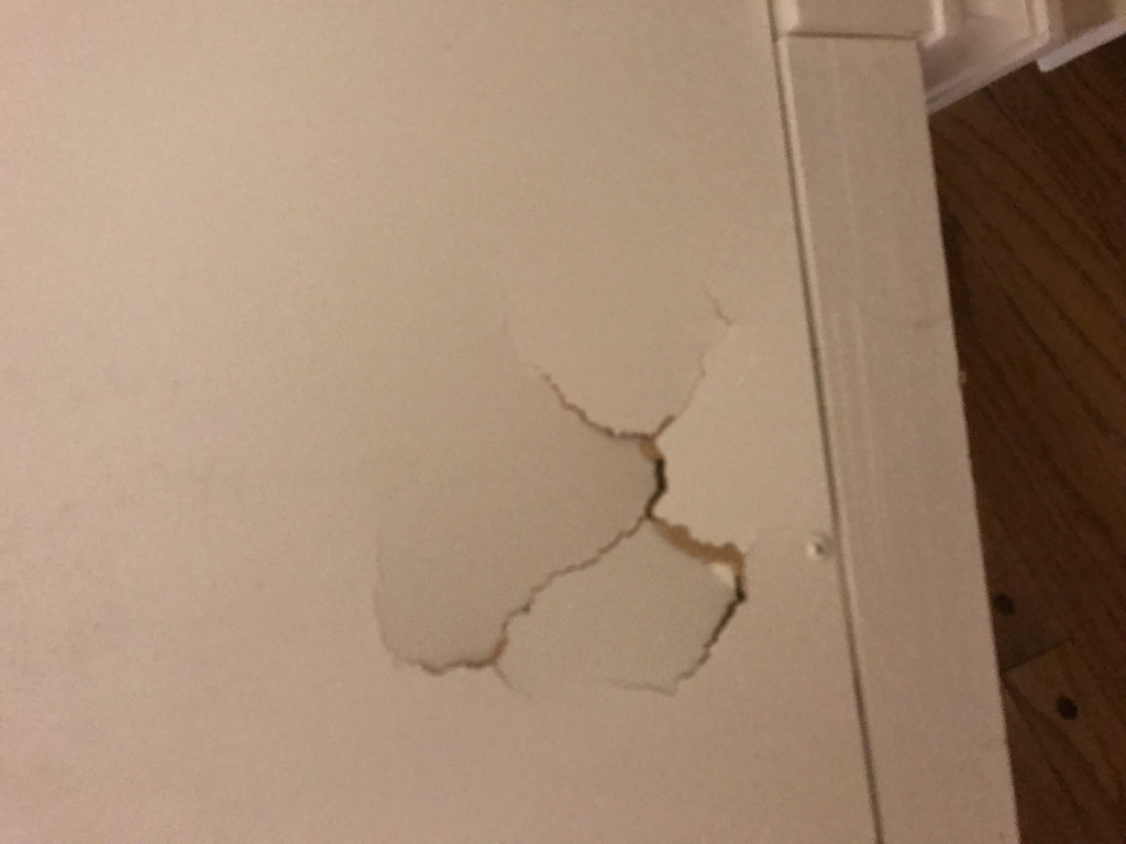 Second photo by Lisa Hicks of Two Men and a Truck - Large