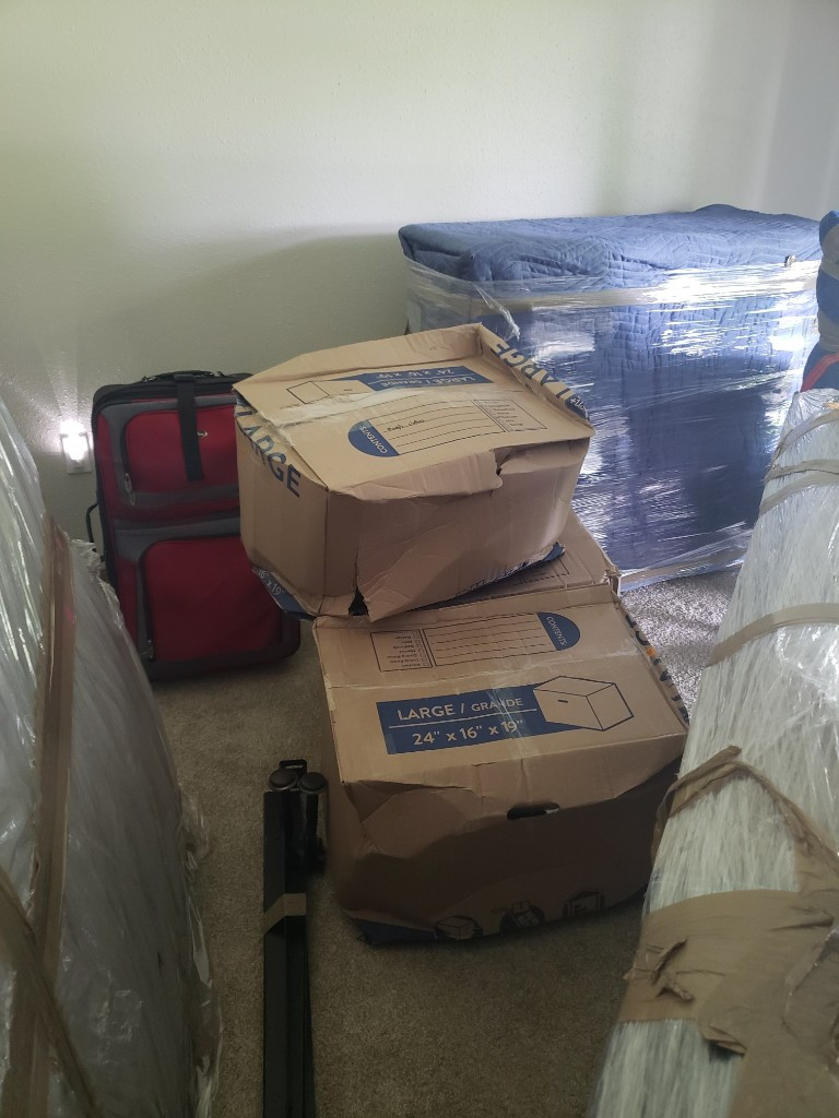 Photo by Rachel Vang of Belmont Moving and Storage - Large