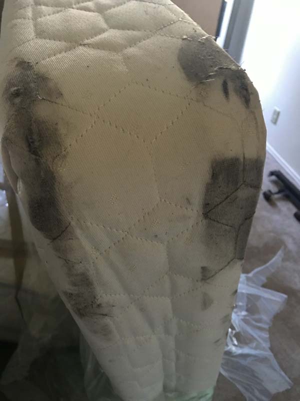 Photo by Rob Miller of Pioneer Moving Group - Large