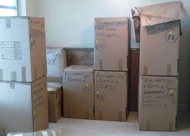 Photo by Grisel of Transit Moving Systems - Large