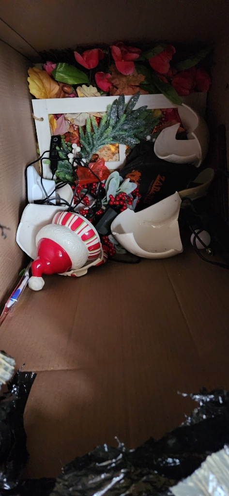 Photo by Mel Messani of Safe Ship Moving Services - Large