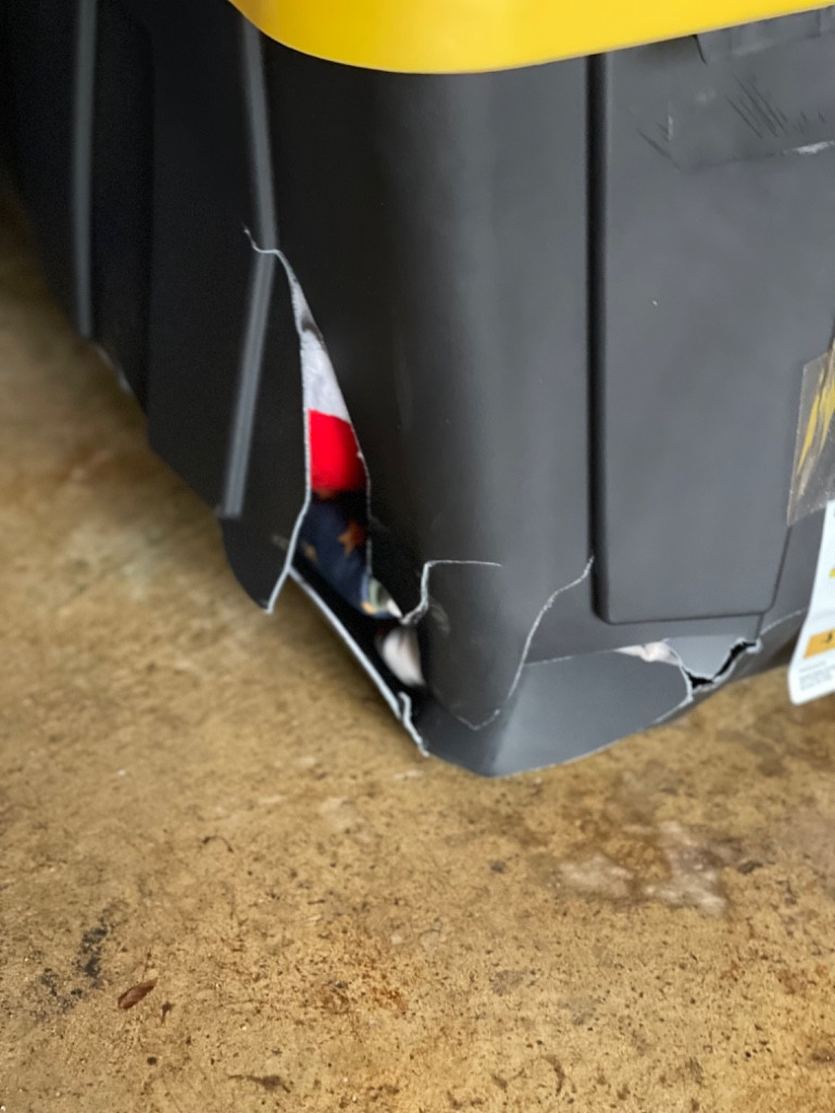 Photo by Diana Maldonado of Carefree Movers Inc - Large