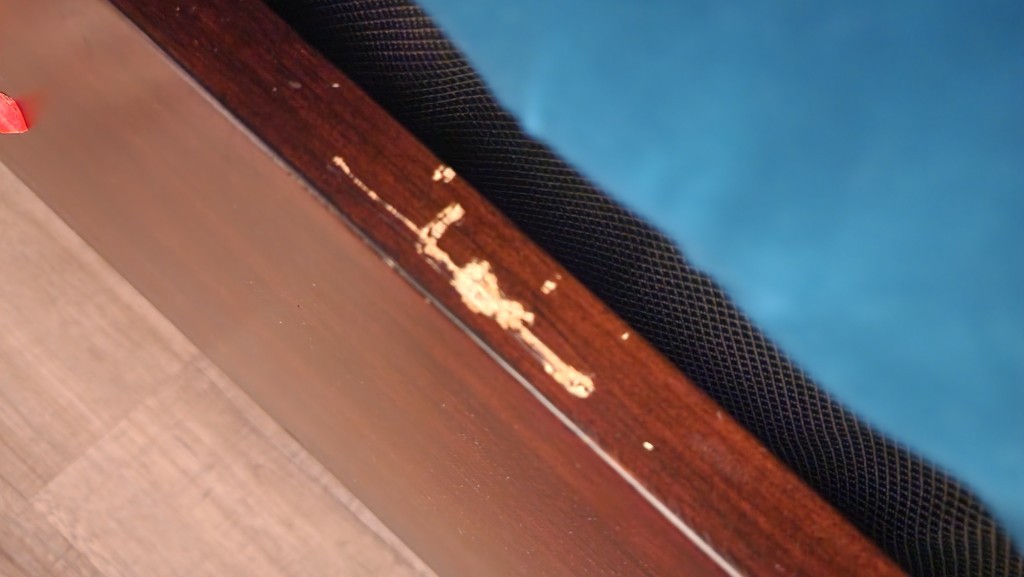 Second photo by Krisbell Salaverria of Illinois Movers Inc - Large