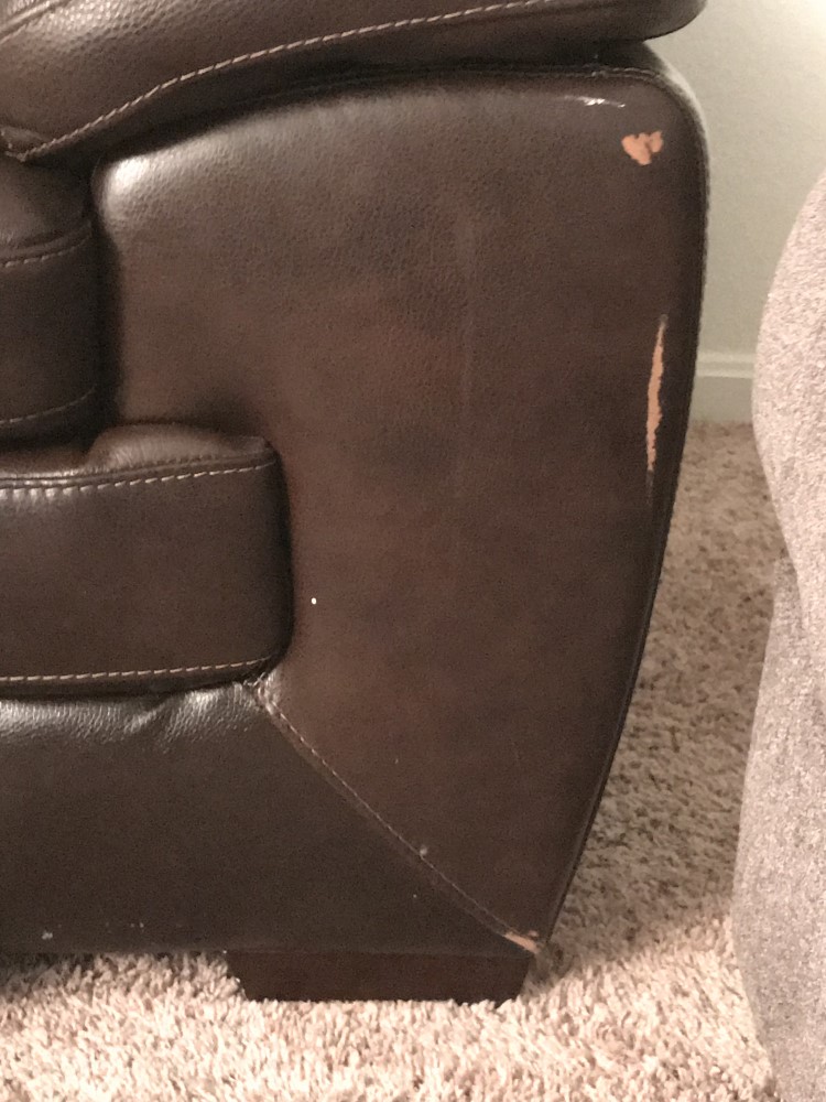 Second photo by Sephne Susco of American Relocation LLC - Large