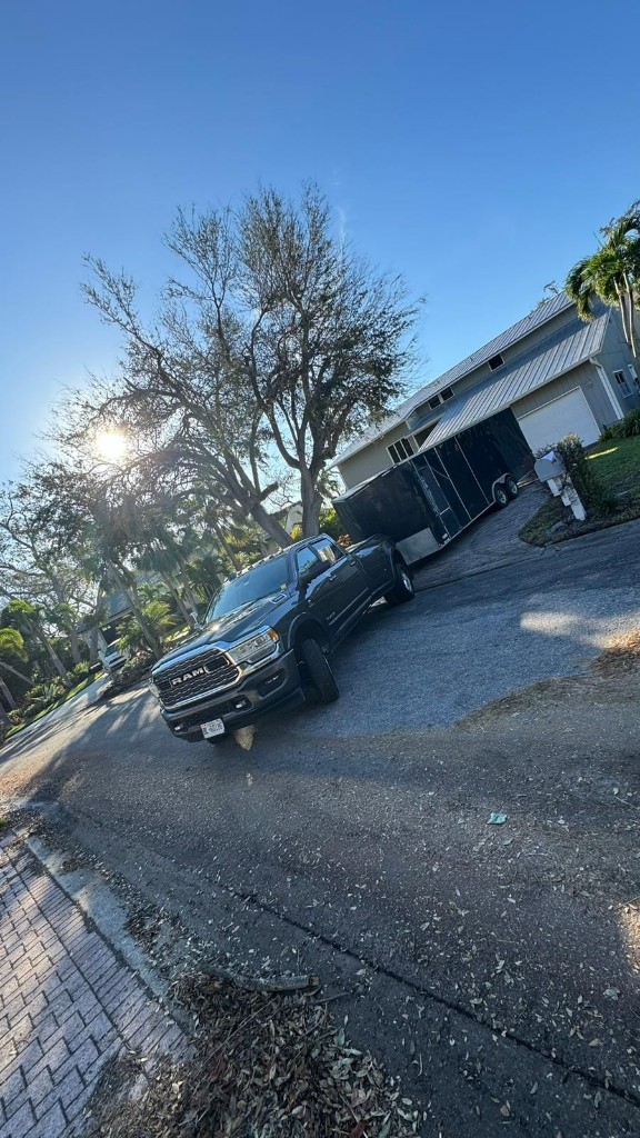 Photo by Andrey Struts of High Stream Moving - Large