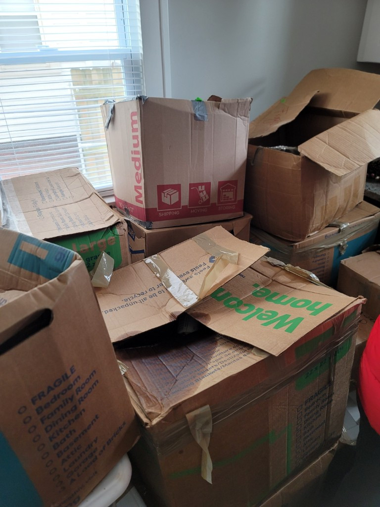 Second photo by Chevi Rader of Hercules Moving Solutions Inc - Large