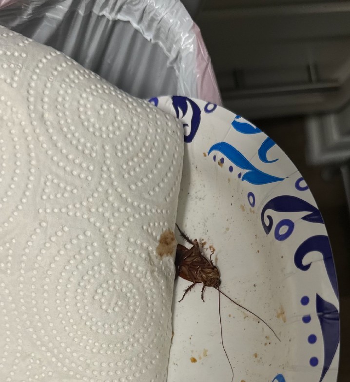 Second photo by Michael Gabriel of Keystone Moving Group LLC - Large