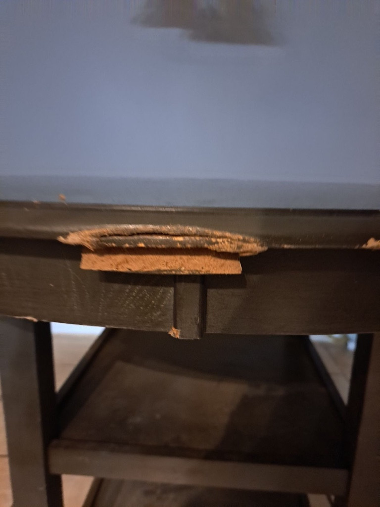 Second photo by Mishell Jameson of True Friends Moving Company - Large