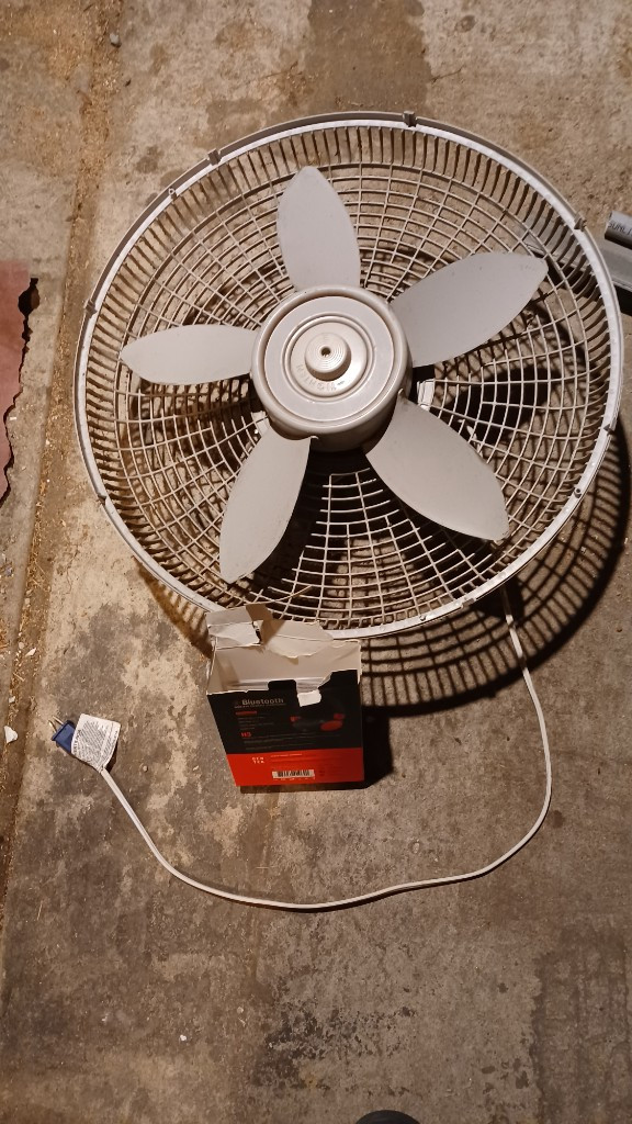 Second photo by Wini Jenkins of USA Logistics Moving - Large