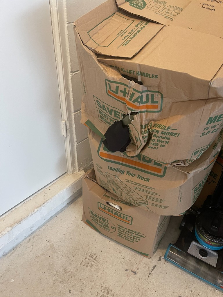 Photo by Kenzie Arent of Safe Ship Moving Services - Large