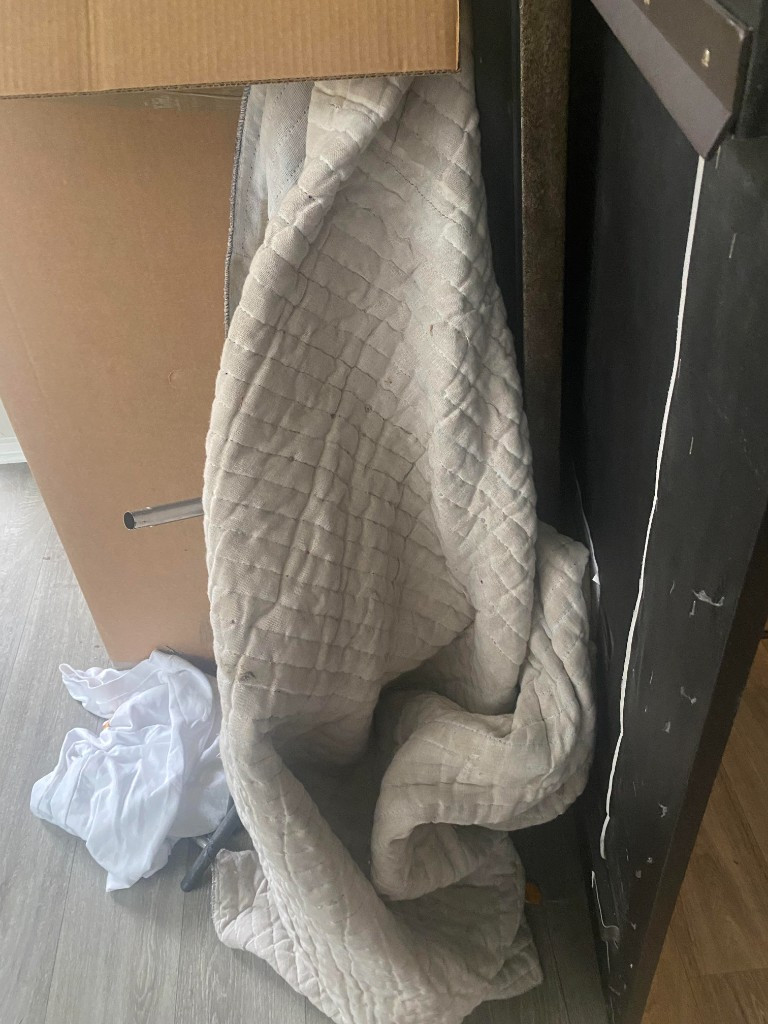 Photo by Alisa Armstrong of MMG Moving LLC - Large