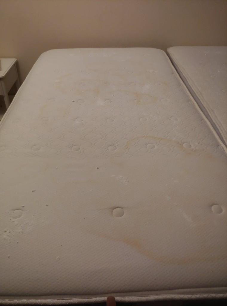 Photo by Amie L Stamper of EZ-Pack Moving - Large