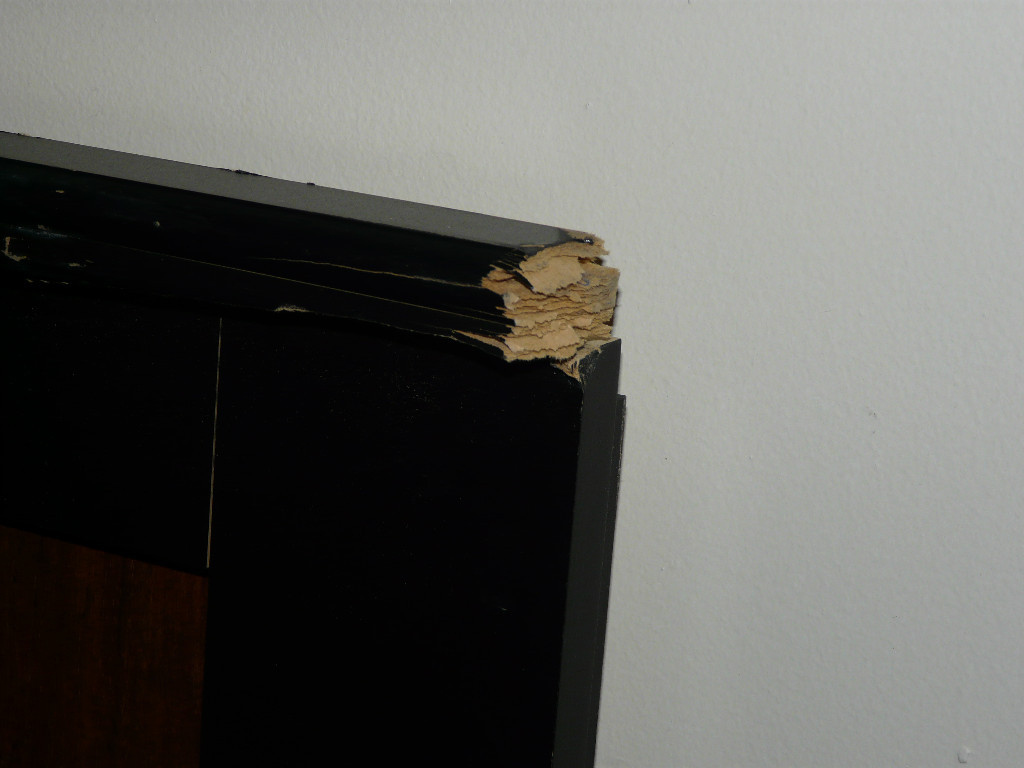 Photo by Richard Pietro of Konami Moving and Storage - Large