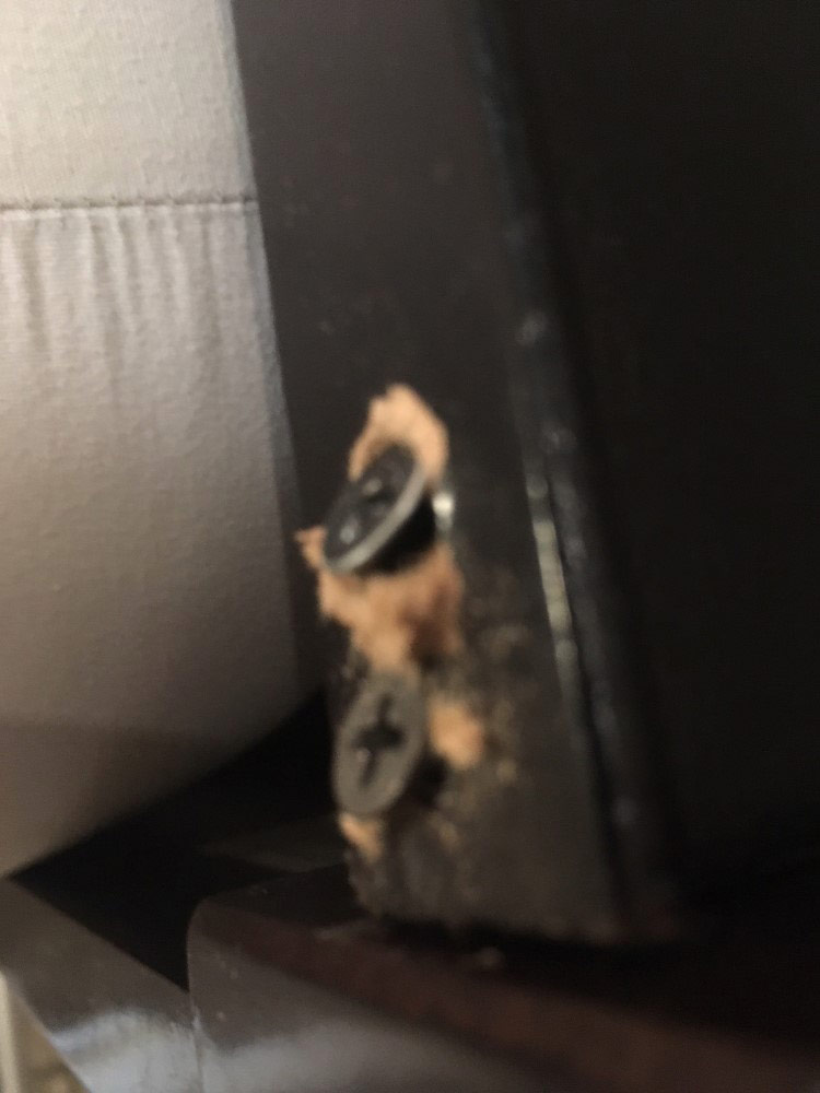 Second photo by Monica of CalState Moving - Large