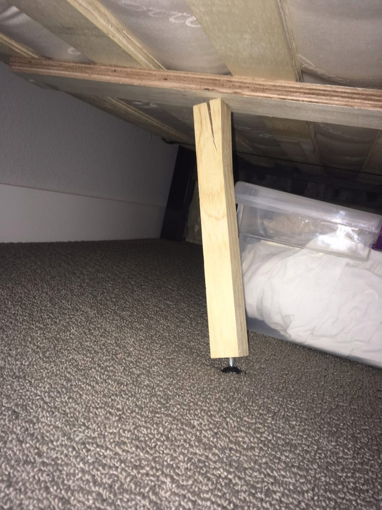 Photo by Monica of CalState Moving - Large