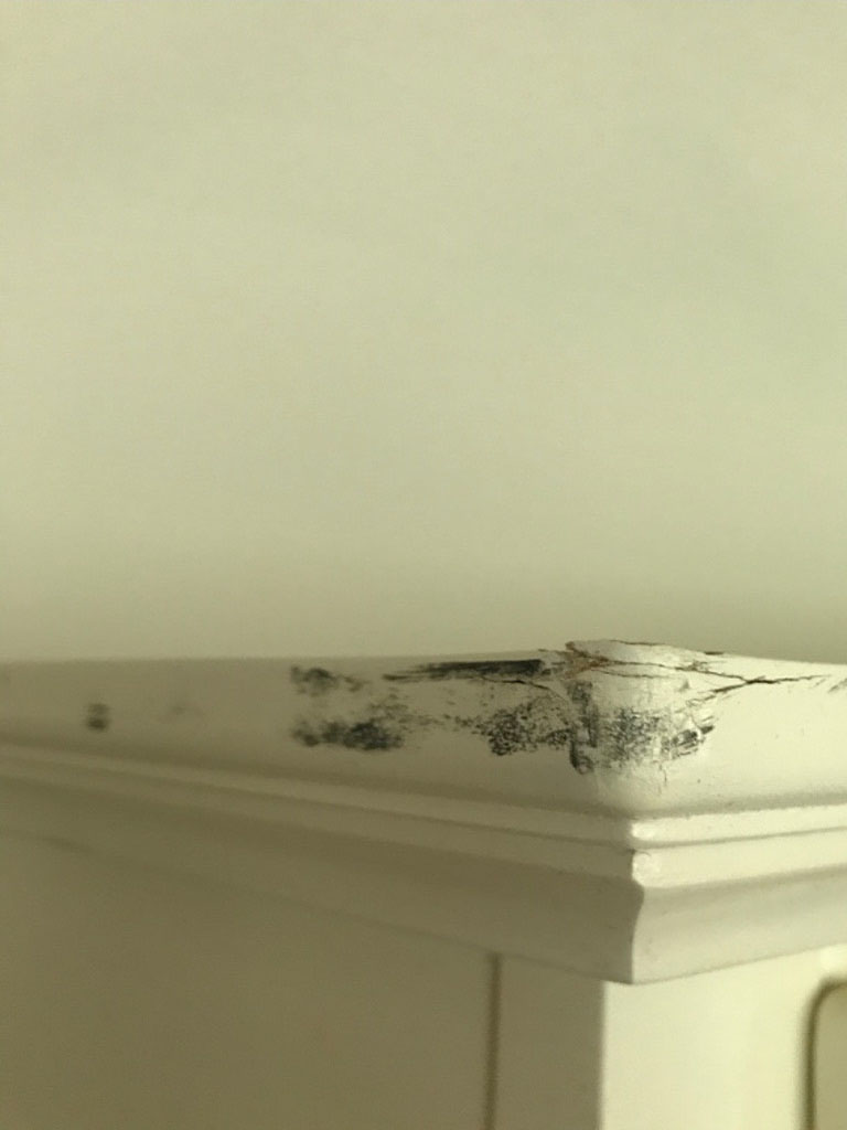 Photo by Cheryl Mcginnis of Military Muscle Movers - Large