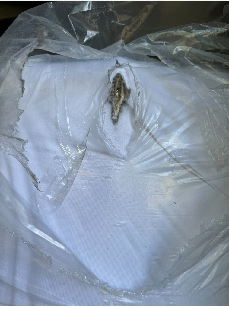 Second photo by Nancy Banks of Solomon and Sons Relocation Service - Large