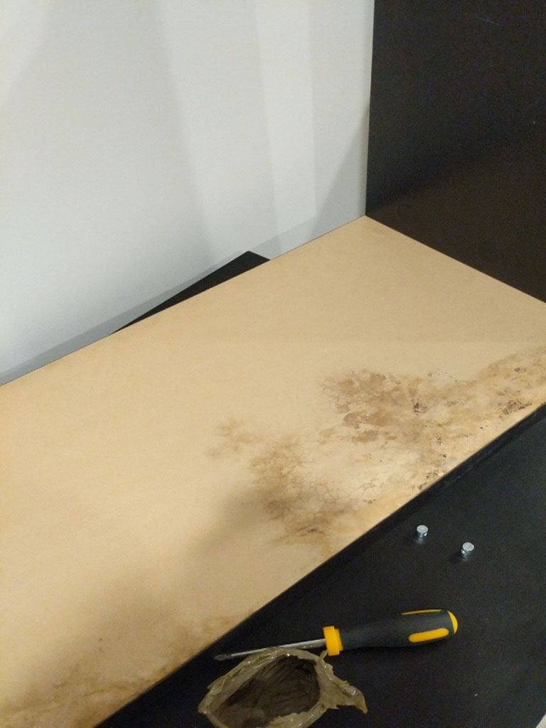 Photo by Jordan Budisantoso of American Roadway Vanlines Inc. - Large