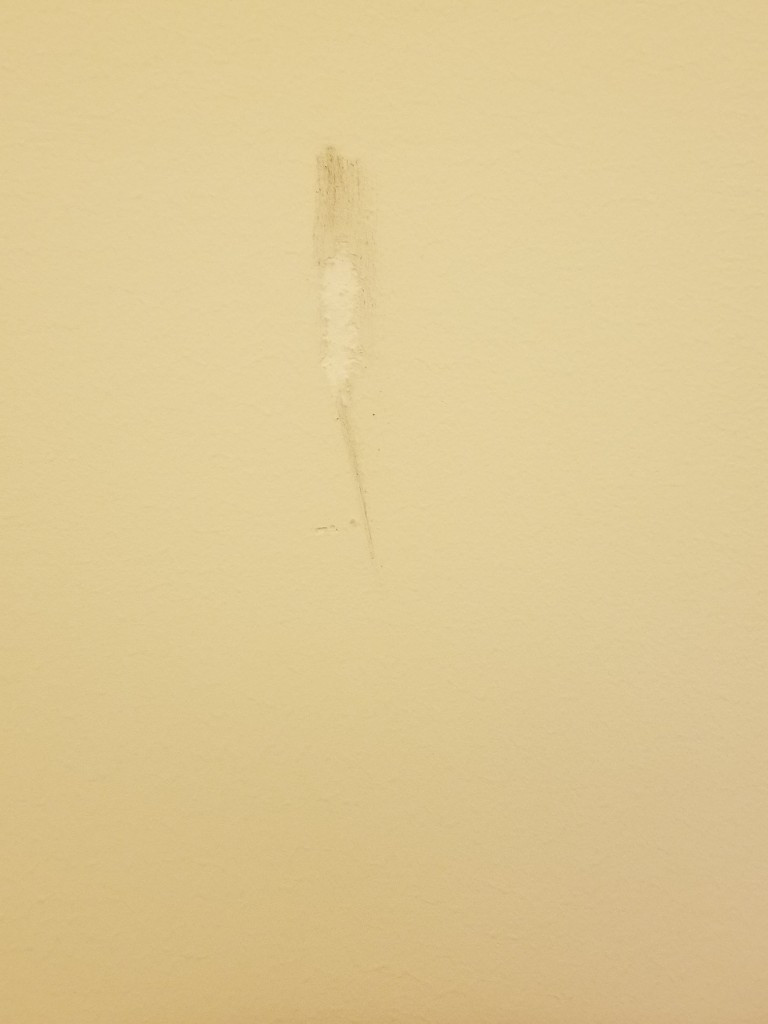 Photo by Baker Evo of US Pro Moving and Logistics LLC - Large