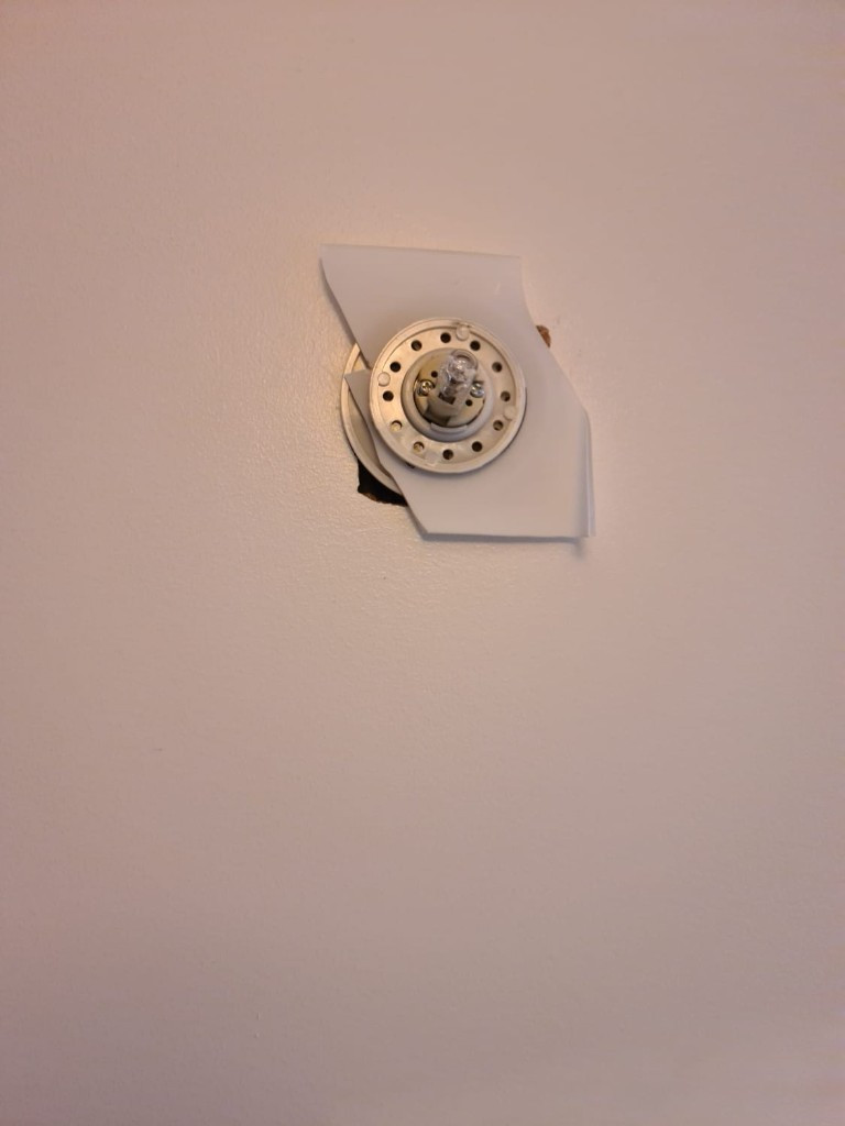 Photo by Anureet Bagnall of PSS International Removals - Large