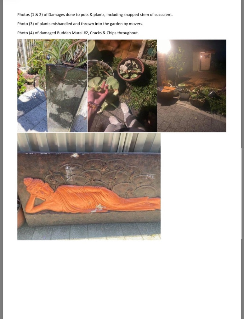 Photo by Phoenix Nandori of CBD Movers AU - Large