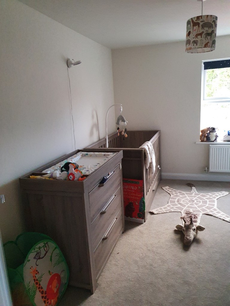 Photo by Mark Shepherd of Comfort Moves Ltd - Large