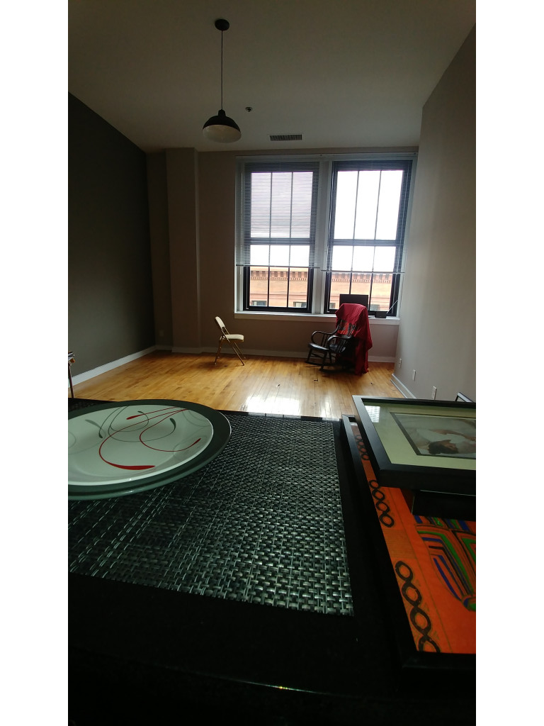 Photo by Dr Beverly Wallace of A Plus Movers - Large