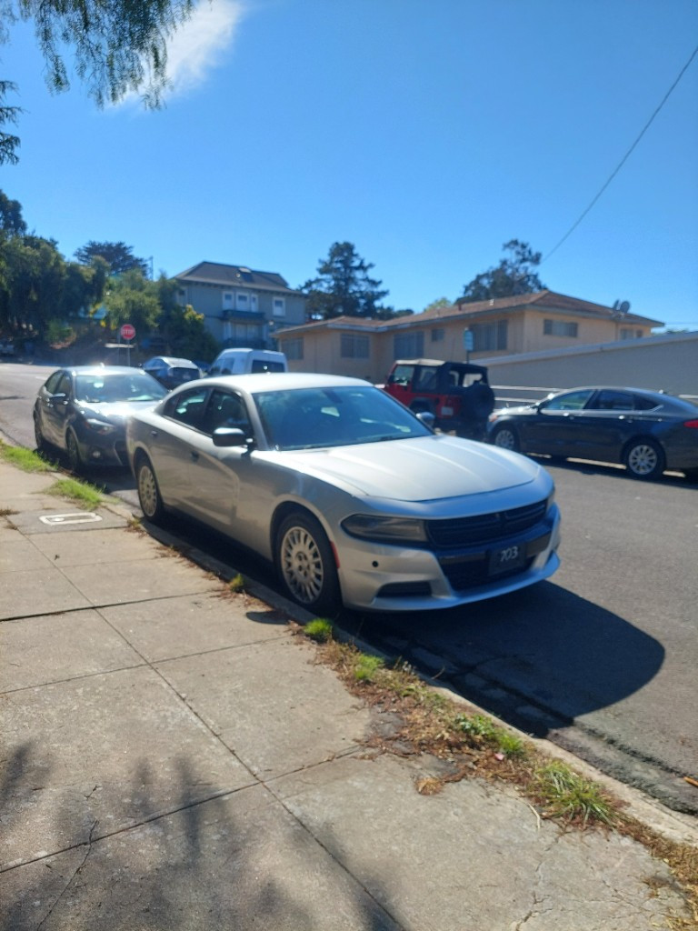 Photo by Alex Lima of Neptune Auto Transport LLC - Large