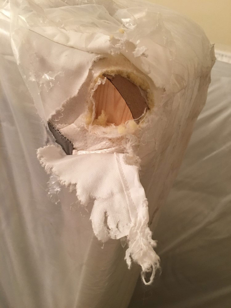 Photo by Tien Bui of International Van Lines - Large