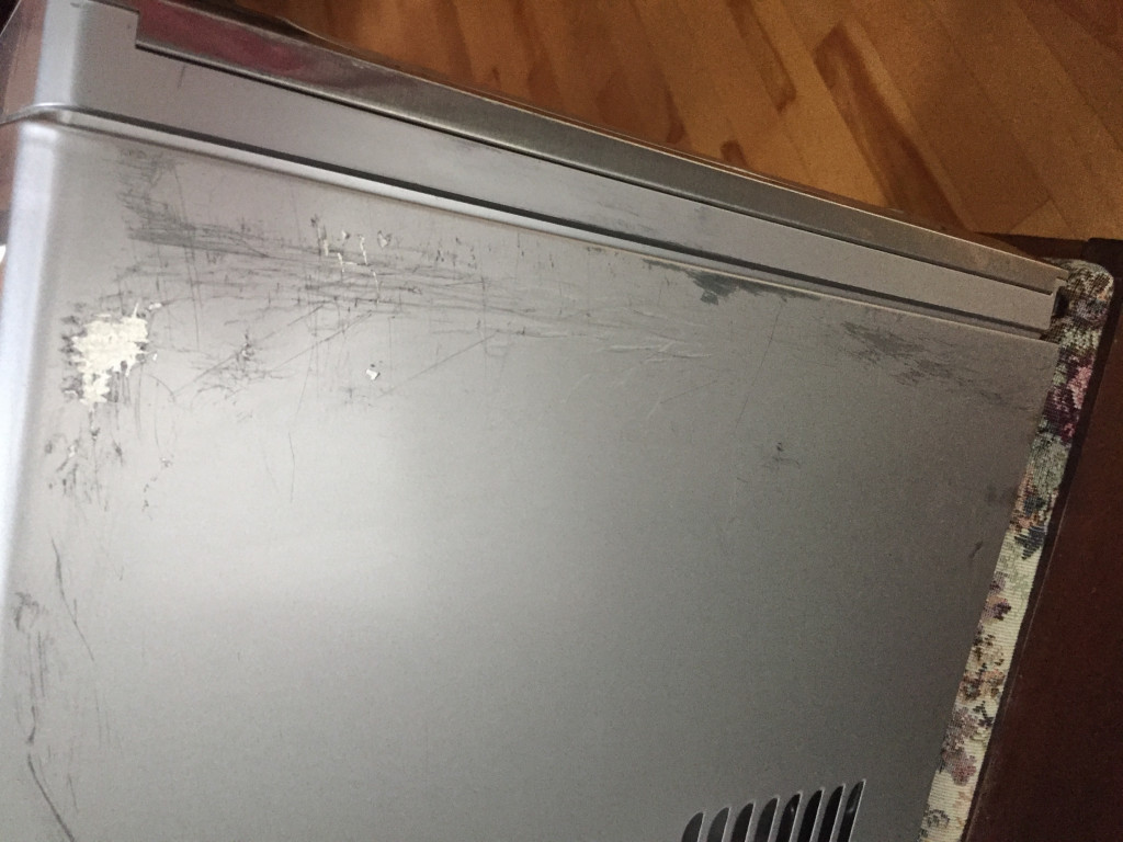 Photo by Marsha Burbine of 2 Burley Men Moving - Large