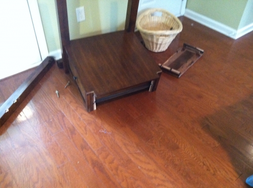 Photo by Laurie Chambers of Sunshine State Moving Company, Inc. - Large