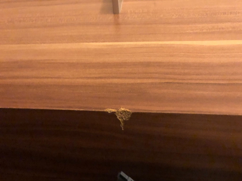 Second photo by Milan Cimerman of Niclas Umzüge - Large