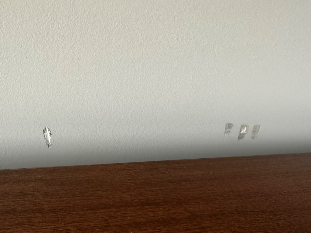 Second photo by Brody Malone of One Source Van Lines LLC - Large