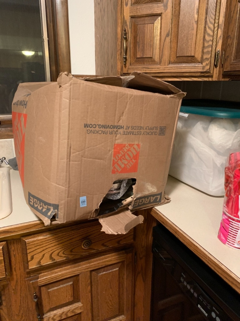 Photo by Lorinda Bryant of Sawgrass Moving And Relocation Inc - Large