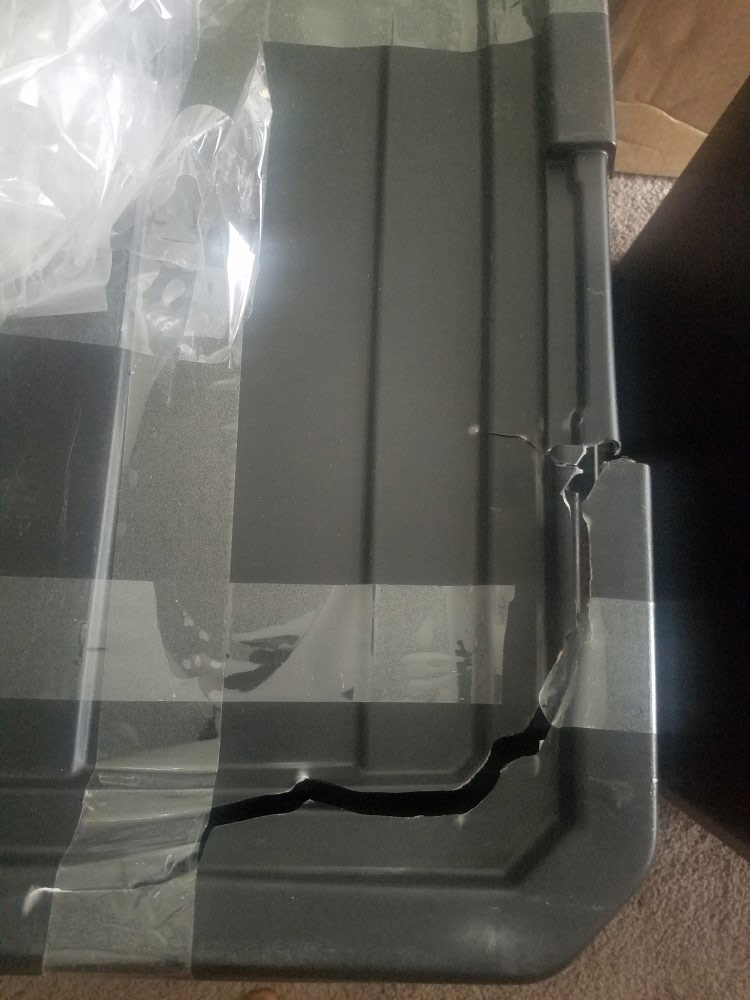 Photo by Tamoi of Moving Mania Inc - Large