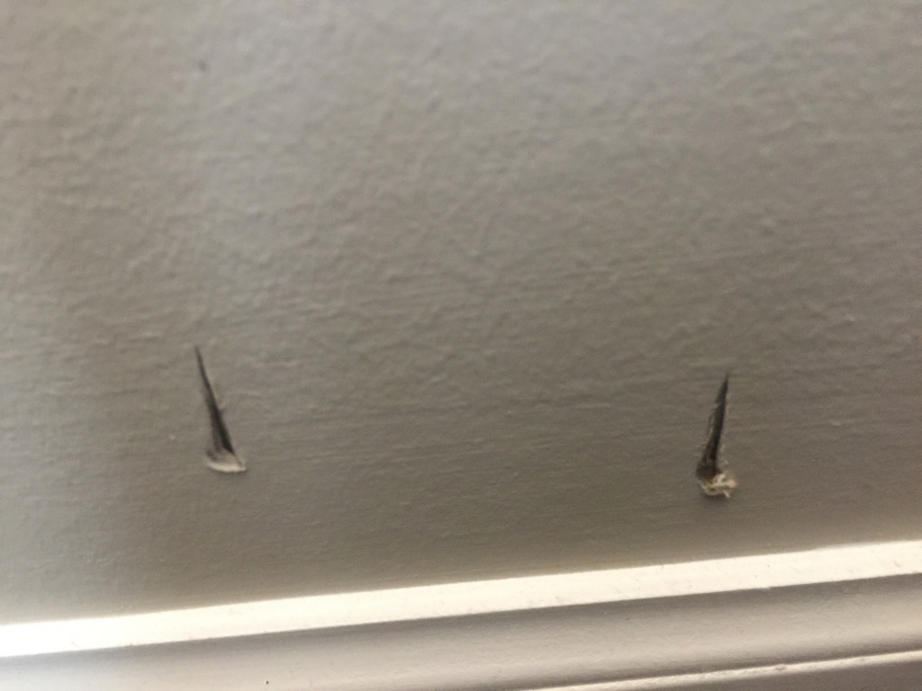 Photo by Lidija Biro of Rawlinson Moving & Storage - Large