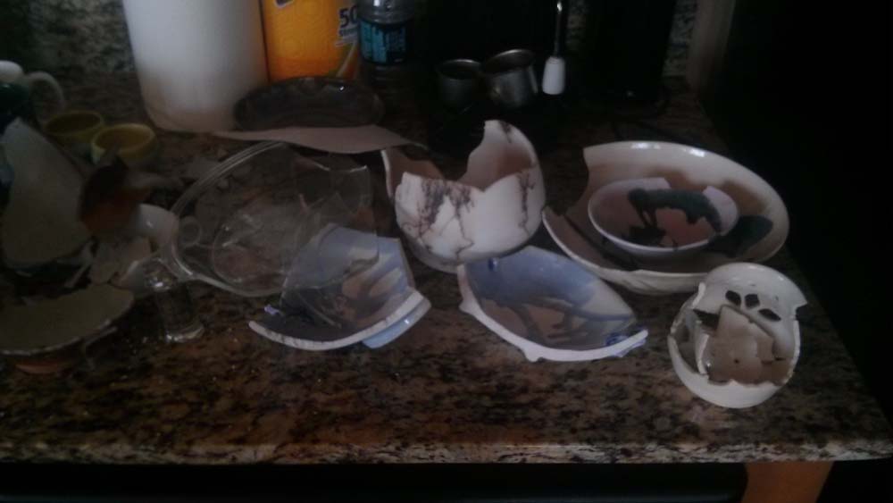 Photo by Anna Maria Georg of American Moving Systems - Large